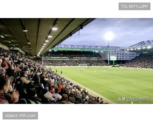 诺维奇卡罗路球场迎新赛季旅游热潮，球迷游客争相关注球队表现